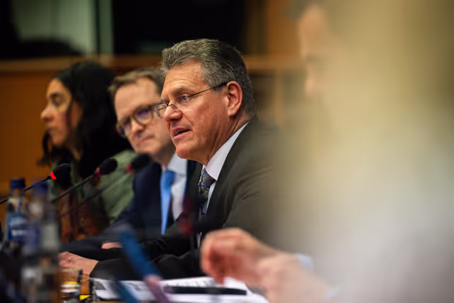 Foto 13: 5th EU-UK Parliamentary Partnership Assembly