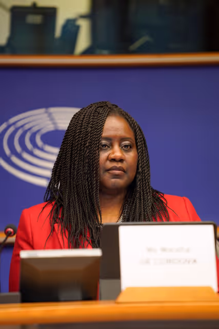 Foto 5: 5th EU-UK Parliamentary Partnership Assembly