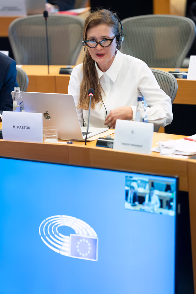 PETI hearing ' Suspension of procedures for evictions and squatting based on Petitions '