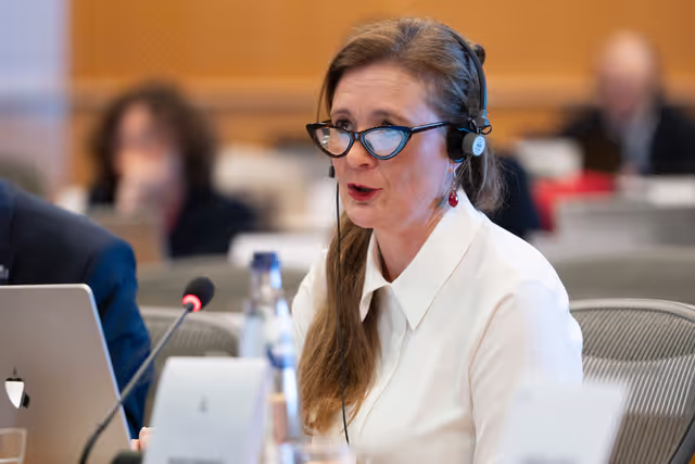 Photo 10 : PETI hearing ' Suspension of procedures for evictions and squatting based on Petitions '