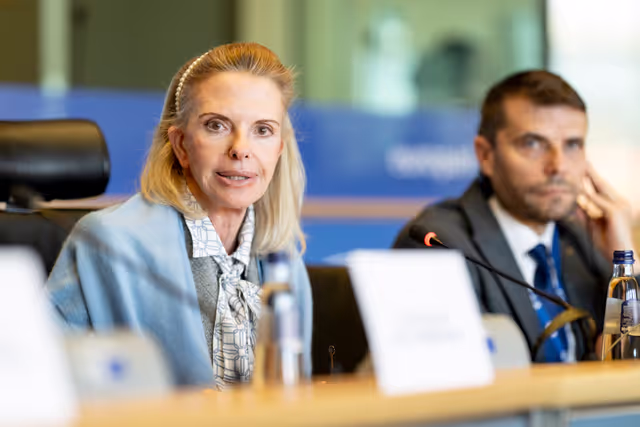 Zdjęcie 25: TRAN - Presentation of the European Aviation Environmental Report 2025