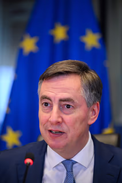 Fotografia 8: AFET - Presentation of the European Endowment for Democracy (EED) Annual Report 2024