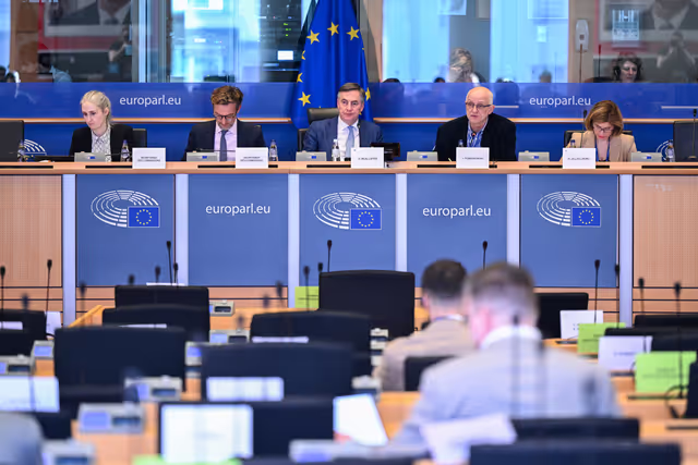 Fotografia 1: AFET - Presentation of the European Endowment for Democracy (EED) Annual Report 2024