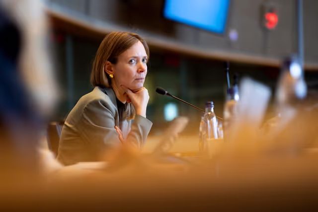 Foto 9: IMCO - Digital Services Act Enforcement and Implementation