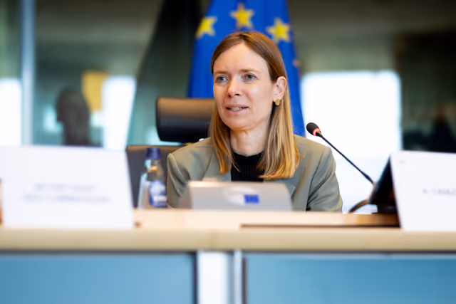 Foto 4: IMCO - Digital Services Act Enforcement and Implementation