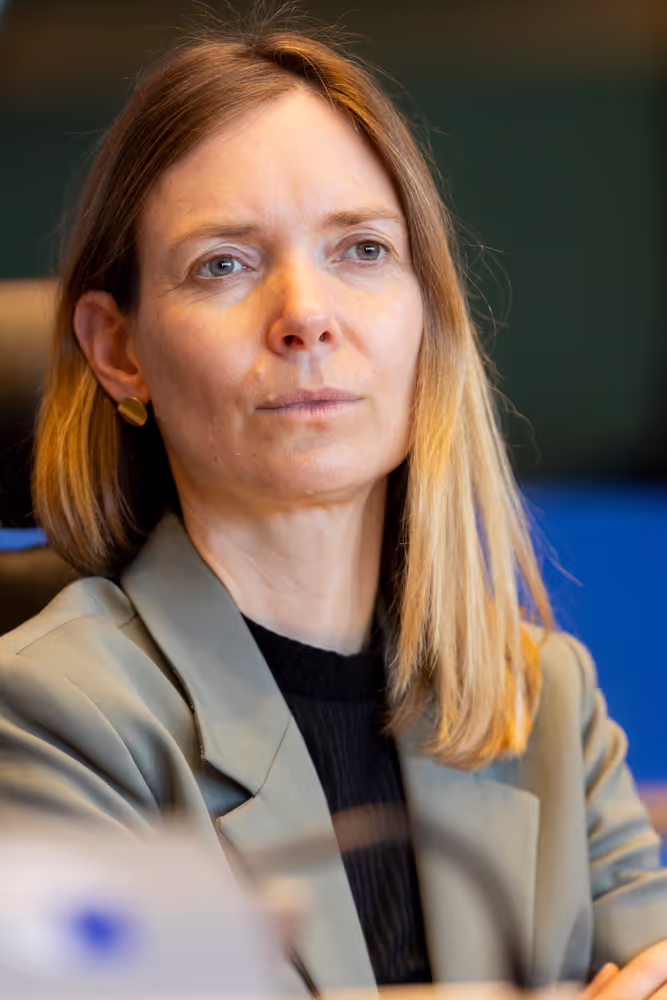 IMCO - Digital Services Act Enforcement and Implementation