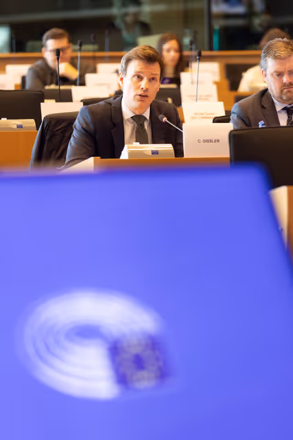 Foto 12: IMCO - Digital Services Act Enforcement and Implementation