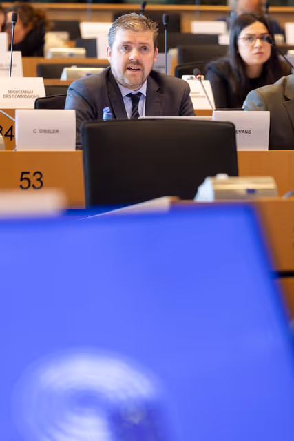 Foto 1: IMCO - Digital Services Act Enforcement and Implementation