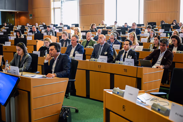 Fotografie 5: DROI - Strengthening the role of the EU at the UN and exchanges of best practices in the human rights field