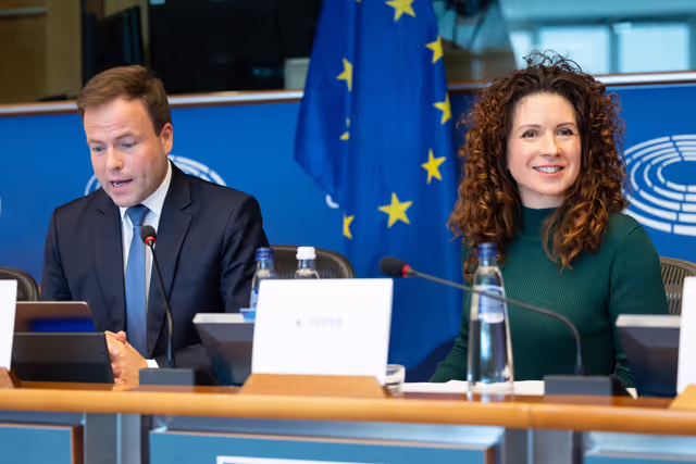 Nuotrauka 30: AFCO workshop ' Stock-taking of the European elections 2024 '