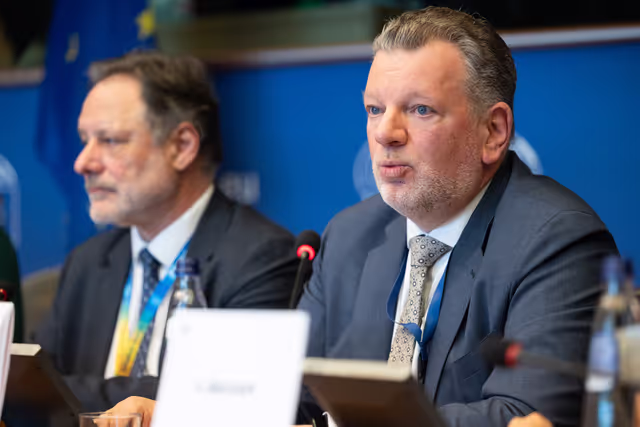 Nuotrauka 21: AFCO workshop ' Stock-taking of the European elections 2024 '