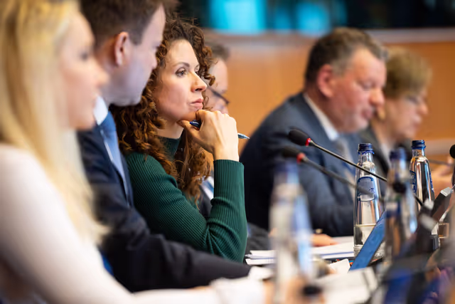 Nuotrauka 20: AFCO workshop ' Stock-taking of the European elections 2024 '