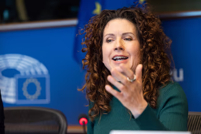 Nuotrauka 18: AFCO workshop ' Stock-taking of the European elections 2024 '