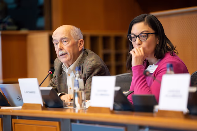 Nuotrauka 8: AFCO workshop ' Stock-taking of the European elections 2024 '