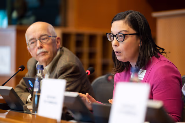 Nuotrauka 4: AFCO workshop ' Stock-taking of the European elections 2024 '