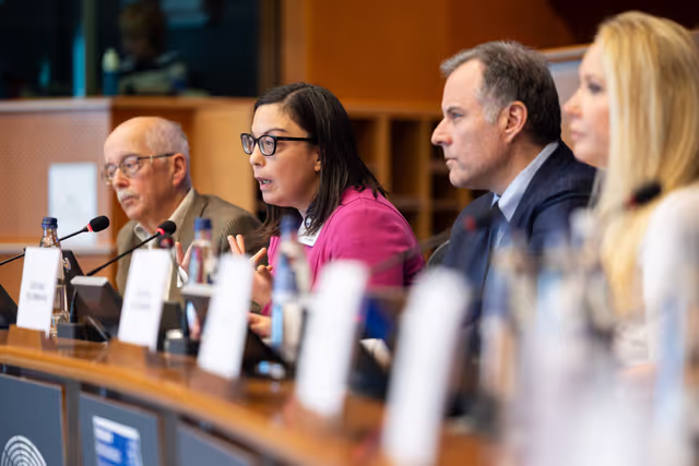 Nuotrauka 3: AFCO workshop ' Stock-taking of the European elections 2024 '