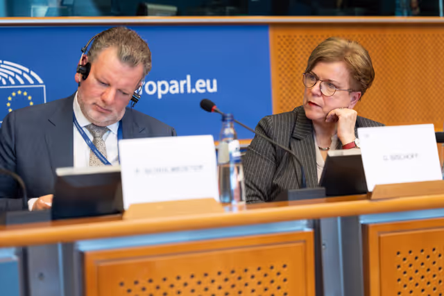 Nuotrauka 2: AFCO workshop ' Stock-taking of the European elections 2024 '