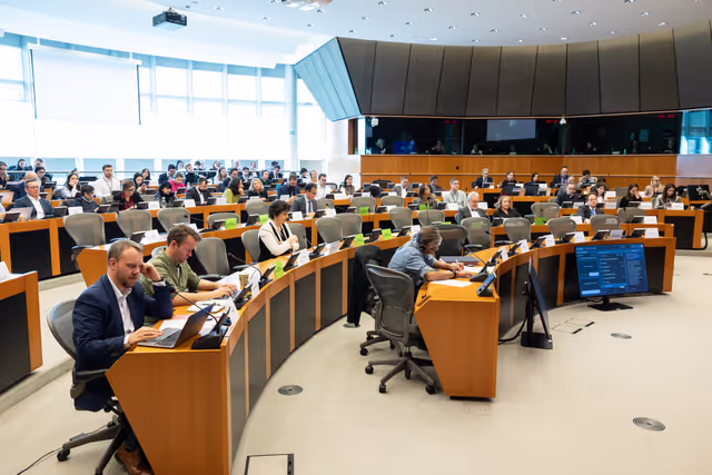 Nuotrauka 13: AFCO workshop ' Stock-taking of the European elections 2024 '