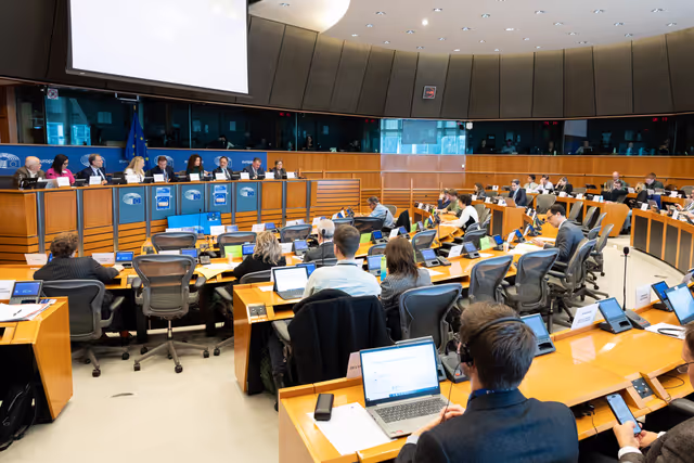 Nuotrauka 14: AFCO workshop ' Stock-taking of the European elections 2024 '