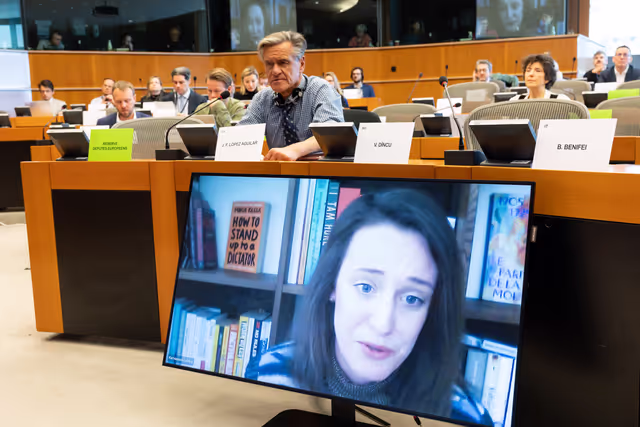 Nuotrauka 1: AFCO workshop ' Stock-taking of the European elections 2024 '