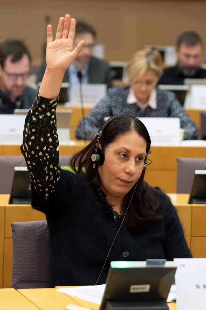 REGI - Voting session : A revamped long-term budget for the Union in a changing world