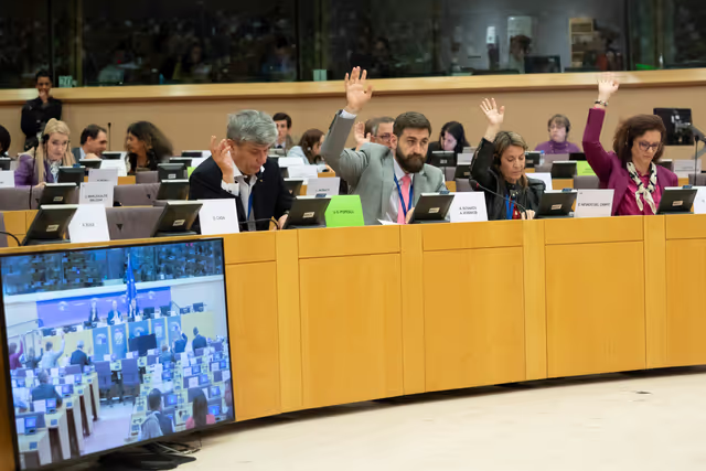 Photo 8: REGI - Voting session : A revamped long-term budget for the Union in a changing world