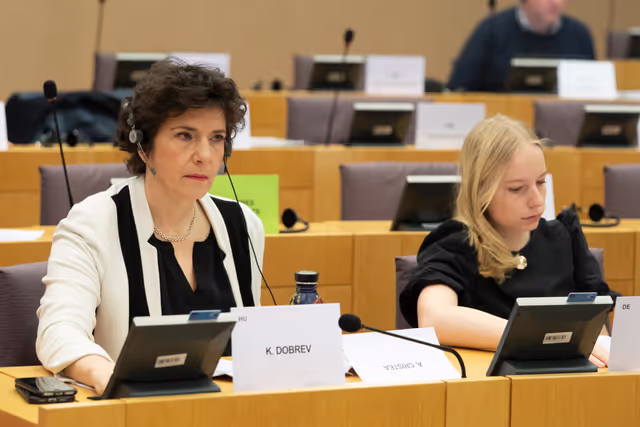 Photo 7: REGI - Voting session : A revamped long-term budget for the Union in a changing world