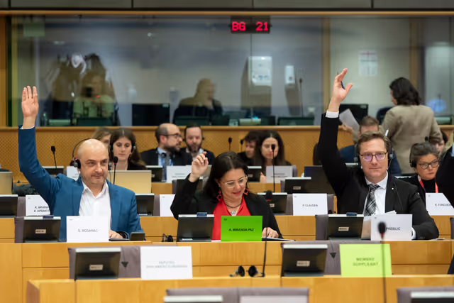 Photo 6: REGI - Voting session : A revamped long-term budget for the Union in a changing world