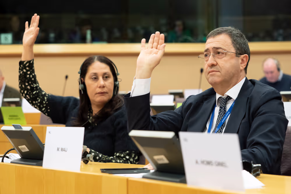 REGI - Voting session : A revamped long-term budget for the Union in a changing world