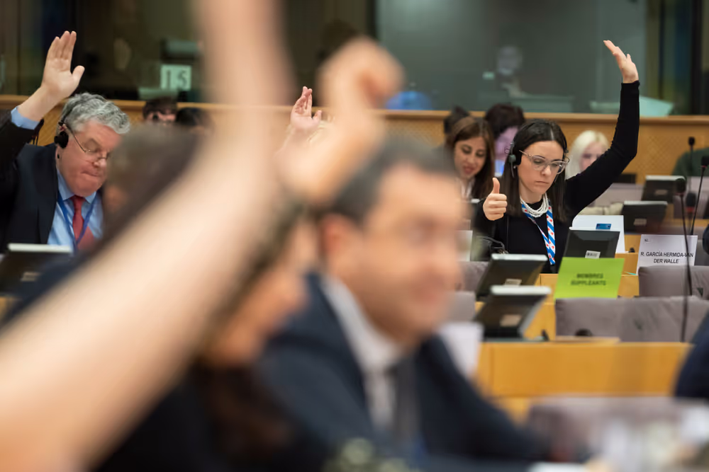 REGI - Voting session : A revamped long-term budget for the Union in a changing world