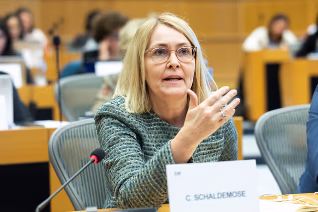 Photo 10: SEDE - Henna Virkkunen, Executive Vice-President of the European Commission, Commissioner for Tech Sovereignty, Security and Democracy