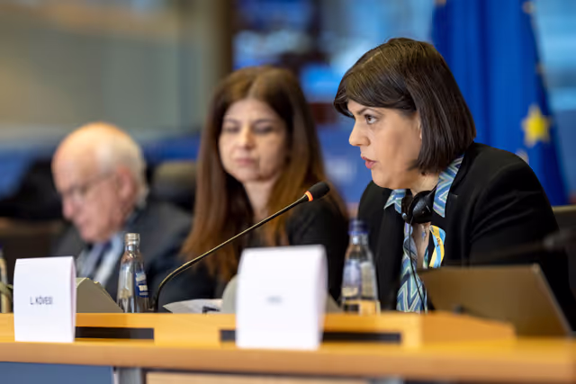 CONT LIBE - The Annual Report 2024 of the European Public Prosecutor's Office (EPPO)