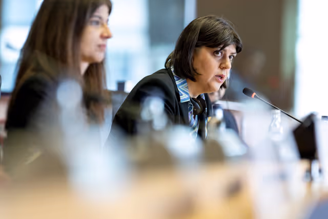 CONT LIBE - The Annual Report 2024 of the European Public Prosecutor's Office (EPPO)