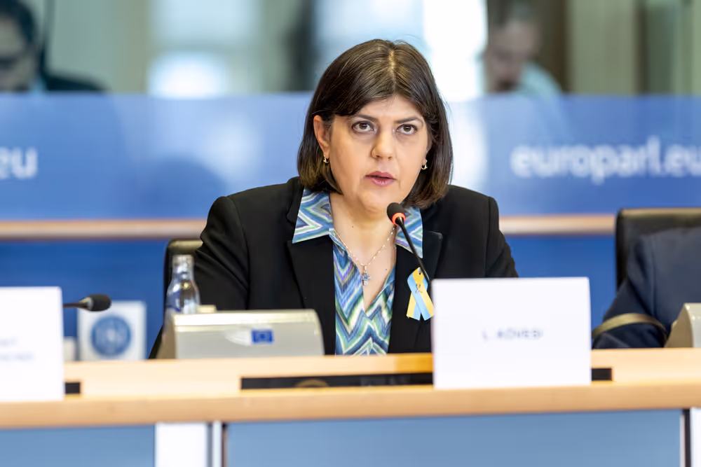 CONT LIBE - The Annual Report 2024 of the European Public Prosecutor's Office (EPPO)