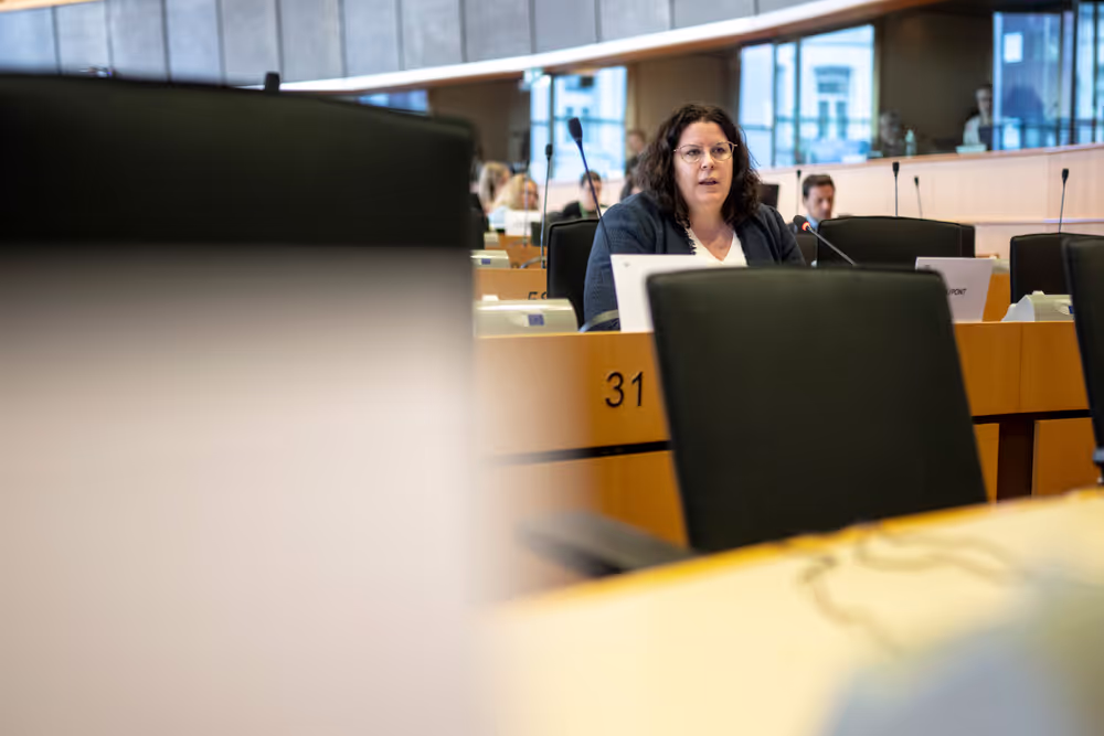 CONT LIBE - The Annual Report 2024 of the European Public Prosecutor's Office (EPPO)