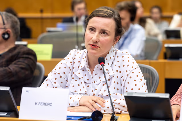 Fotografija 13: SANT - Exchange of views with Oliver VARHELYI, Commissioner for Health and Animal Welfare