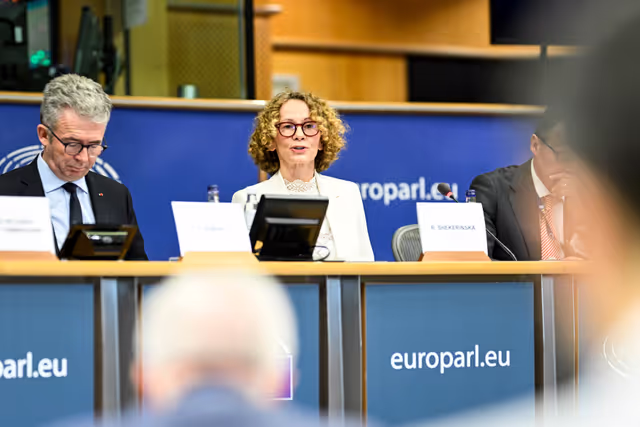 Suriet 34: SEDE - Exchange of views with Radmila Shekerinska, NATO Deputy Secretary General, on deterrence and defence, defence spending and defence industry.