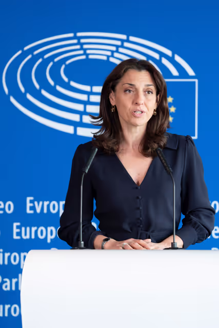 Photo 13 : HOUS - Affordable Housing - addressing the housing crisis in the European Union - Press point