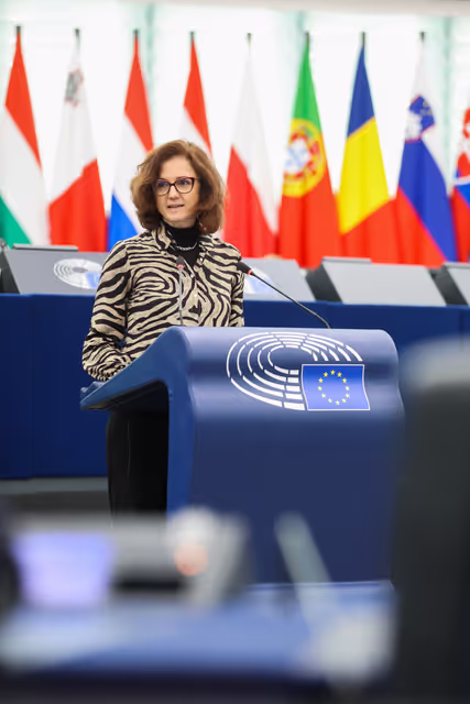 Nuotrauka 38: EP Plenary session - Guidelines for the 2026 budget