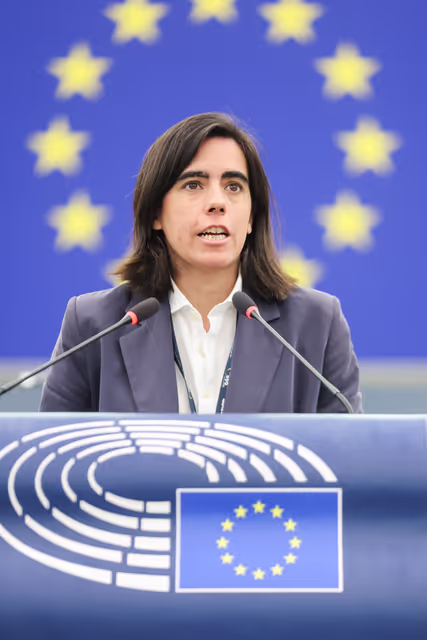 Nuotrauka 17: EP Plenary session - Guidelines for the 2026 budget