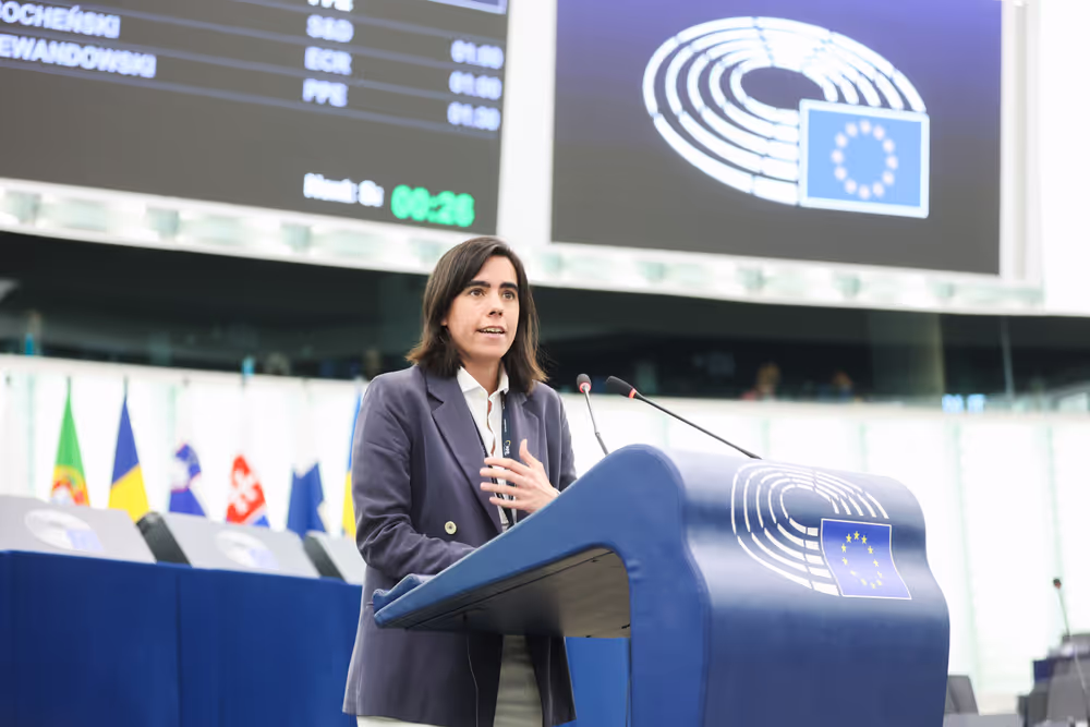 EP Plenary session - Guidelines for the 2026 budget