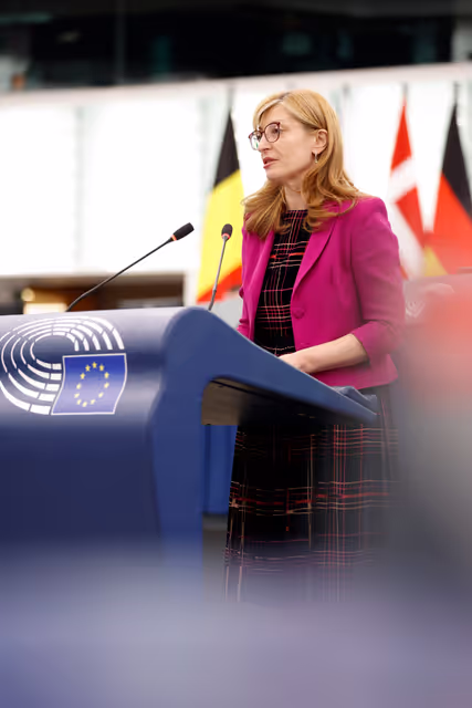 Foto 21: EP Plenary session - Situation of EU academics in the US