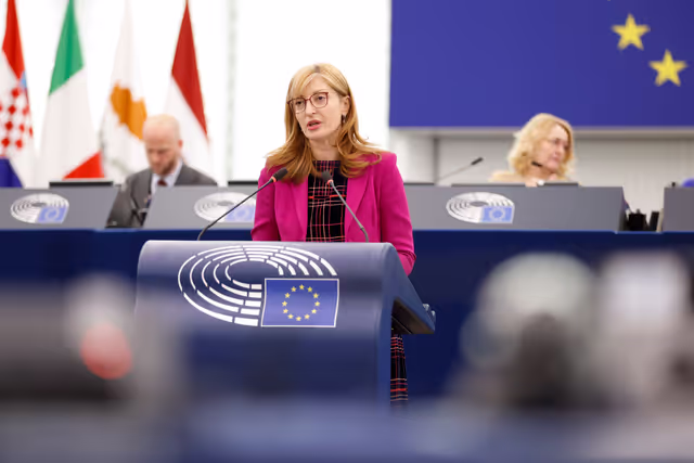 Foto 20: EP Plenary session - Situation of EU academics in the US