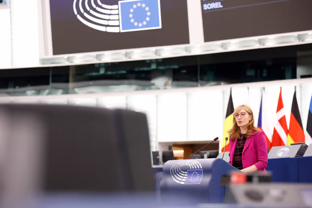 Foto 19: EP Plenary session - Situation of EU academics in the US