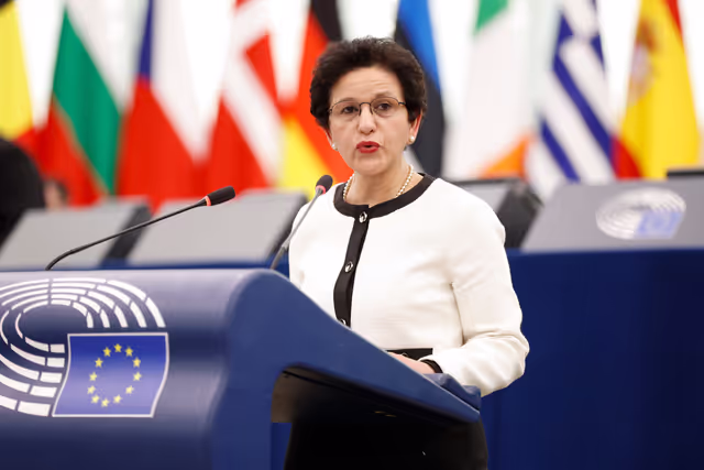 Foto 16: EP Plenary session - Situation of EU academics in the US