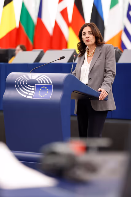 Foto 14: EP Plenary session - Situation of EU academics in the US