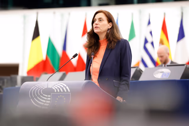 Foto 13: EP Plenary session - Situation of EU academics in the US