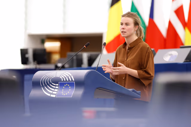 Foto 6: EP Plenary session - Situation of EU academics in the US