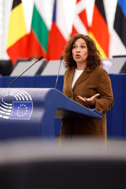 Foto 4: EP Plenary session - Situation of EU academics in the US