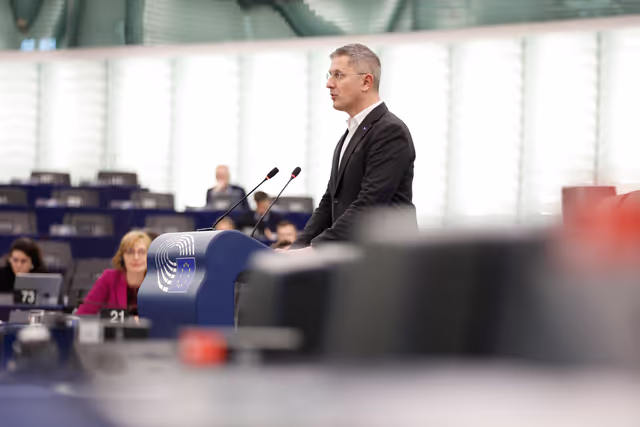 Foto 3: EP Plenary session - Situation of EU academics in the US